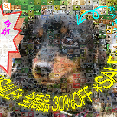 ペットショップサンプル