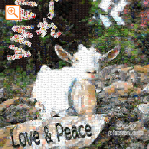 デザイナーサンプル