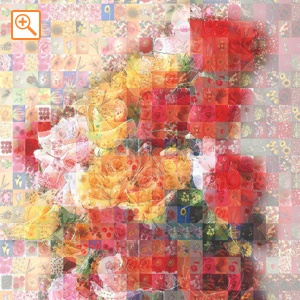 デザイナーサンプル