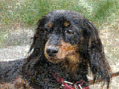 モザイクアートにするベース画像選択の注意点～モザイクアートに適したベース画像の選択～